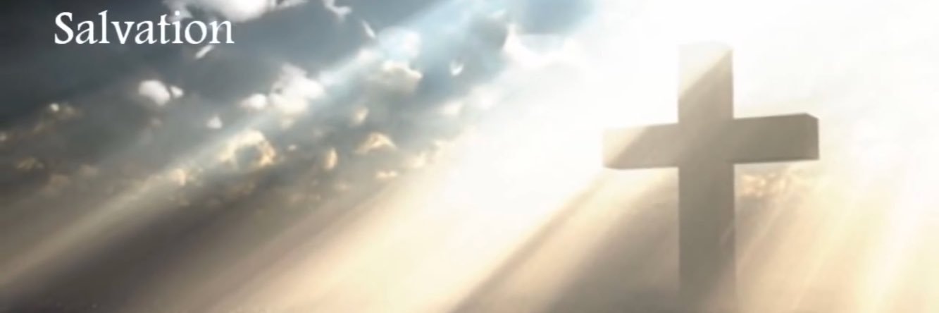 Quip_Catapult's profile banner image