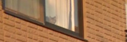 abbbbbbbbboe's profile banner image