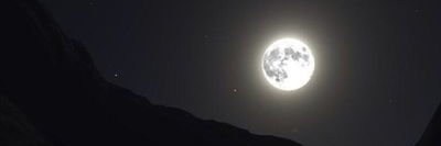 wajdi .. banner