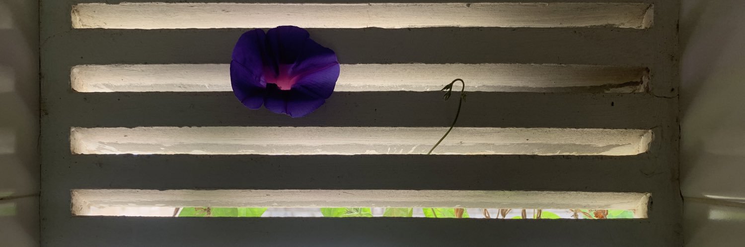 DIANA ARRÒS banner