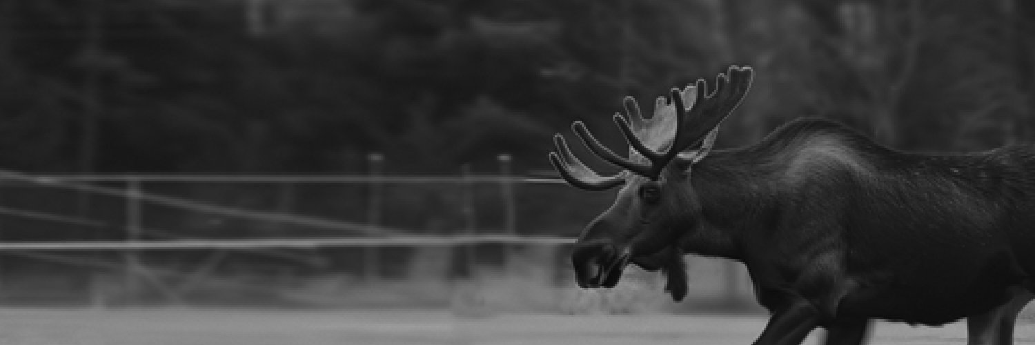 Nicolas Joseph banner