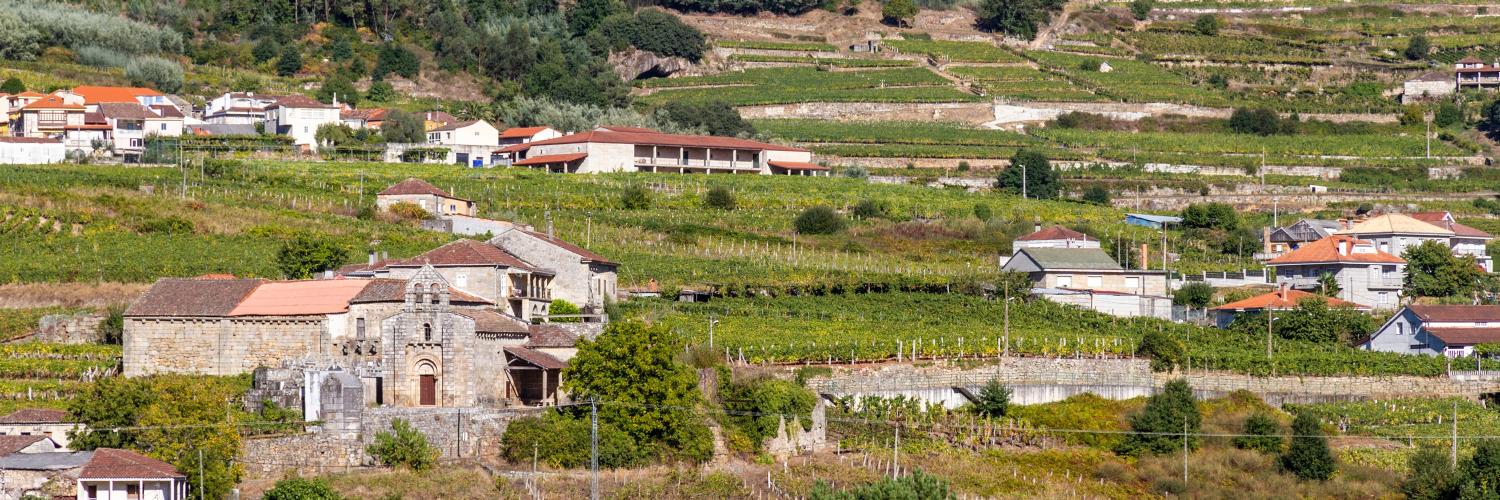 Coto de Gomariz banner