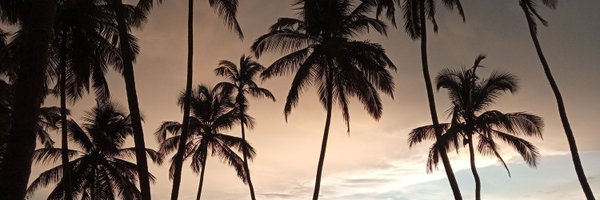 nishit130 Profile Banner