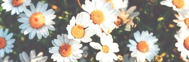 youngestdarling's profile banner image