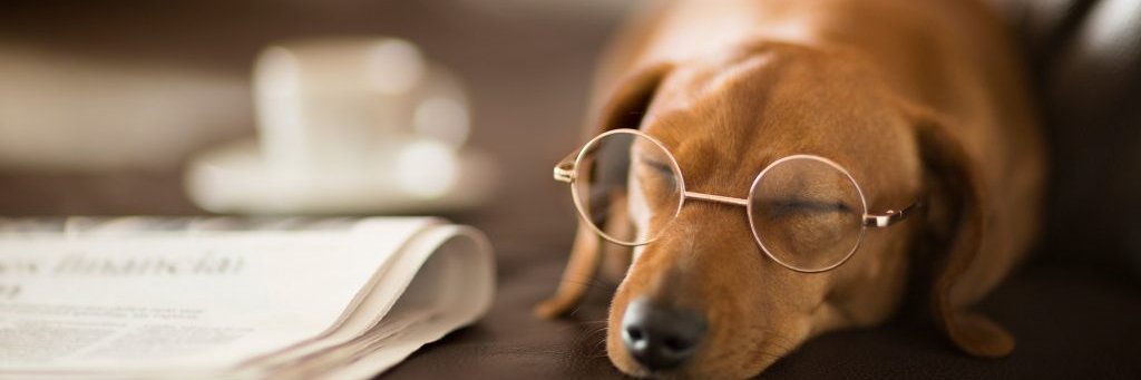 copycontentwriter banner