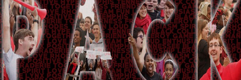 ThePackRhodes's profile banner image