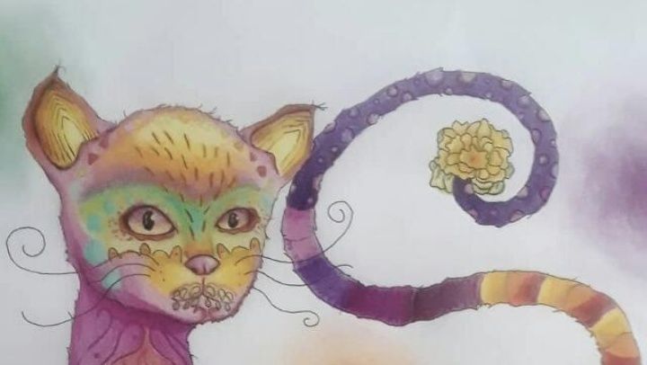 hauffmanprogres's profile banner image