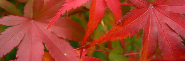 IldemAkerman Profile Banner