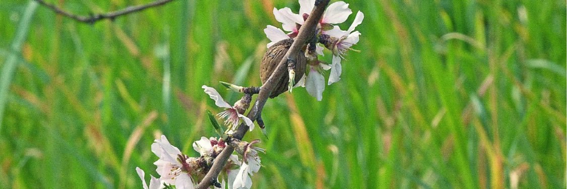 MattSureda's profile banner image