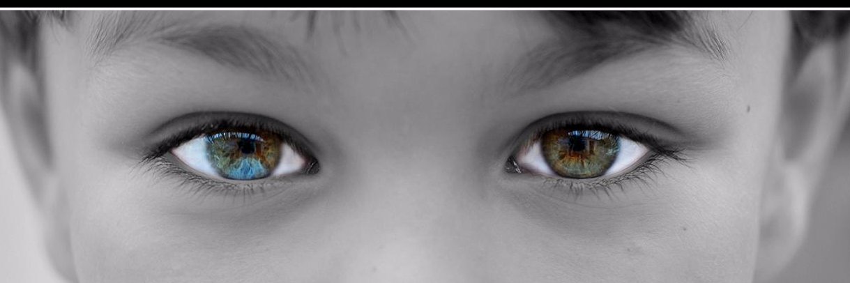 Fabien Rech banner