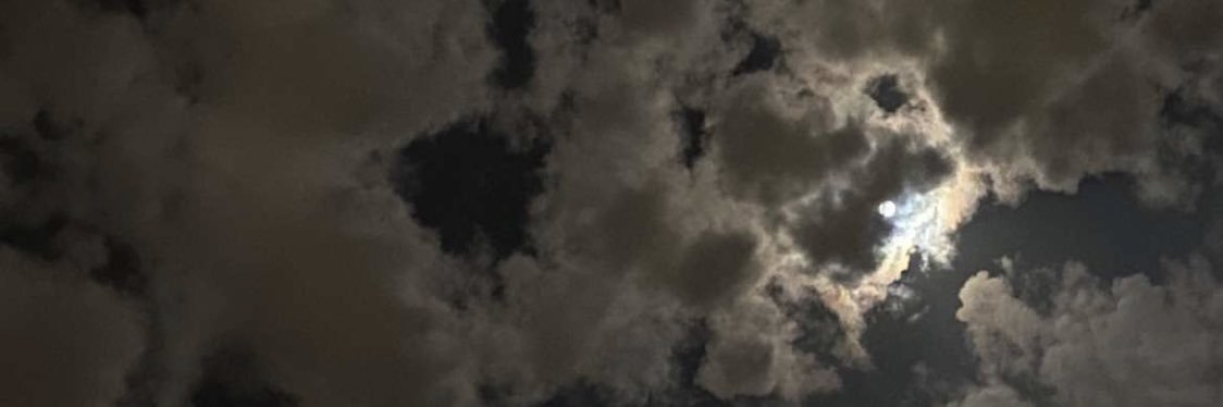 laall0's profile banner image