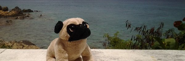 foglebr Profile Banner