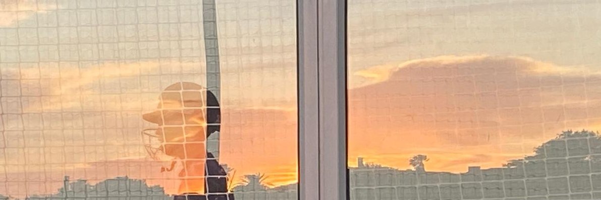 Stuart Lowman banner