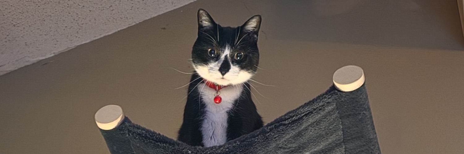 mightyearball's profile banner image