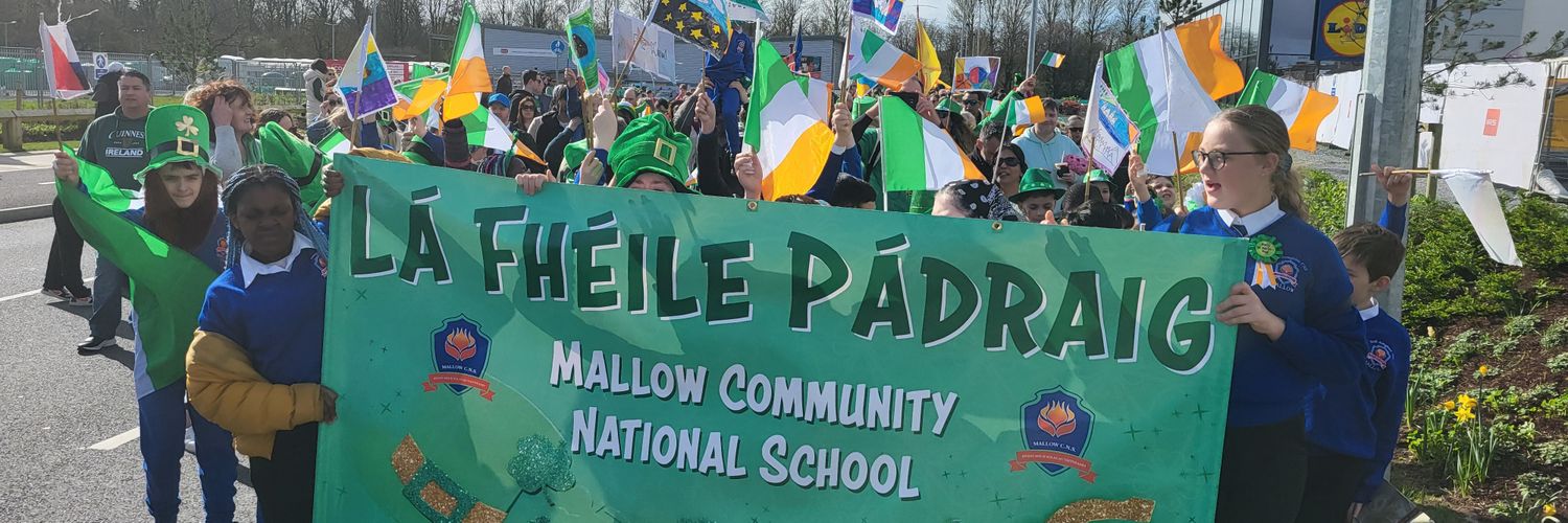 Mallow Community National School banner