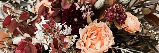 erin_springer's profile banner image