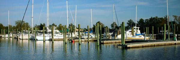 RepDavidRouzer Profile Banner