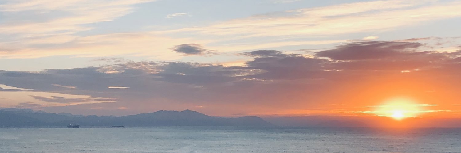 aniikoal's profile banner image