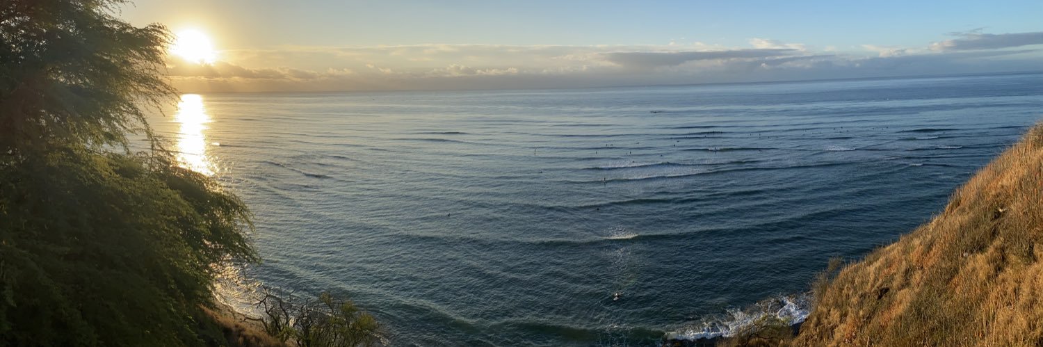 brandykamalei's profile banner image