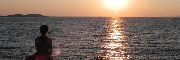 Rocio_roscidus's profile banner image