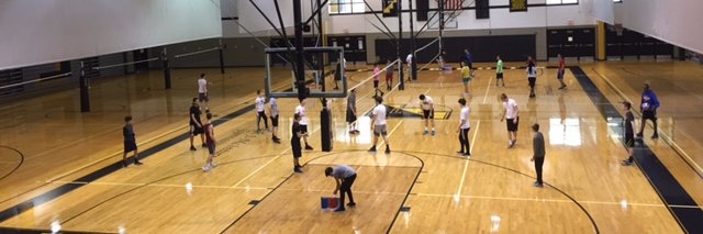 Freedom Phys Ed banner