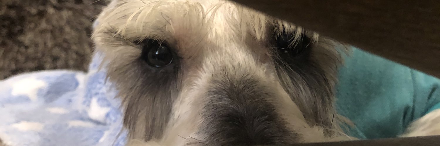 HugoDurandV's profile banner image