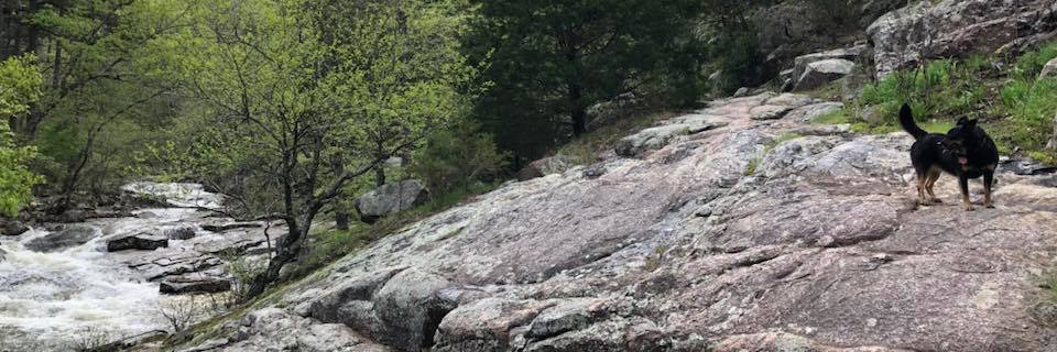 ce_chastain's profile banner image