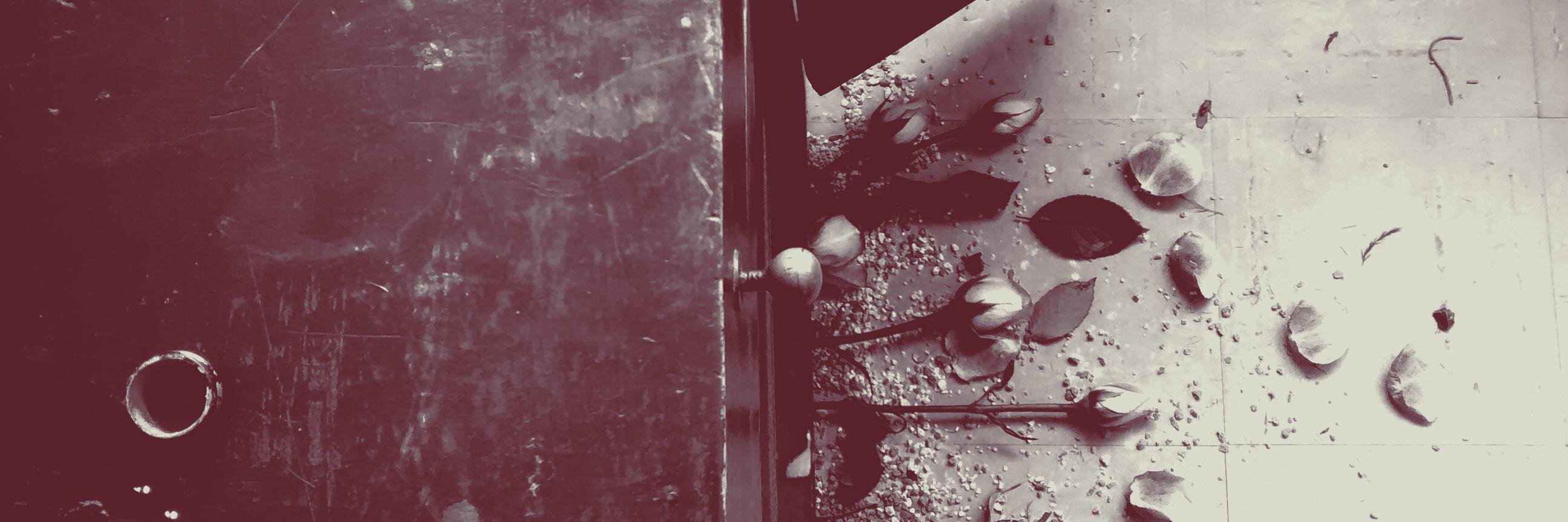 noxpy's profile banner image