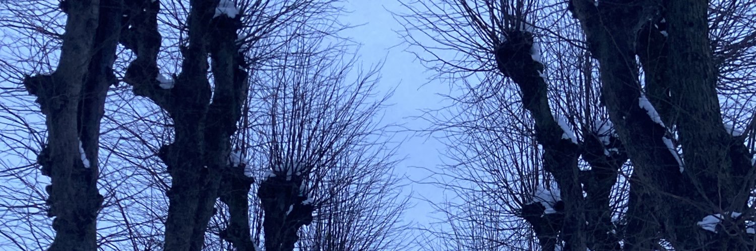 DoganLodge's profile banner image