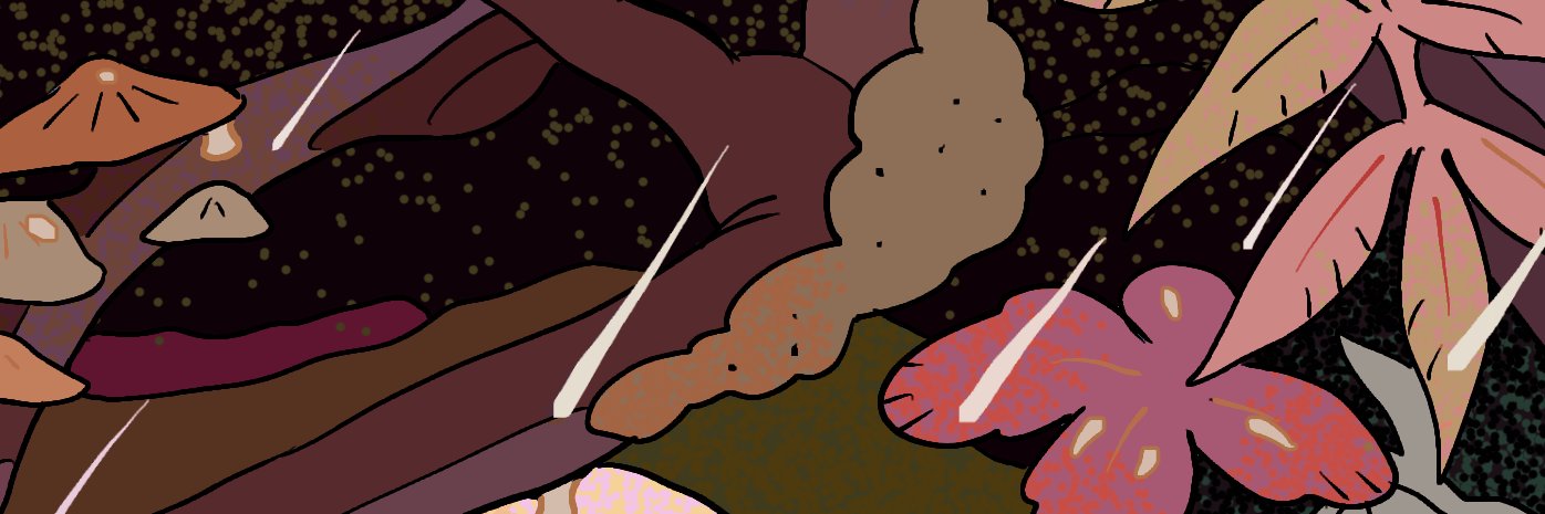 𝐦 𝐞 𝐝 𝐮 𝐳 𝐚's banner