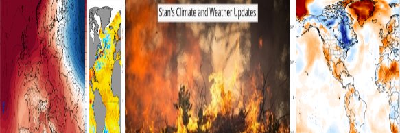 Weatherman Stan banner