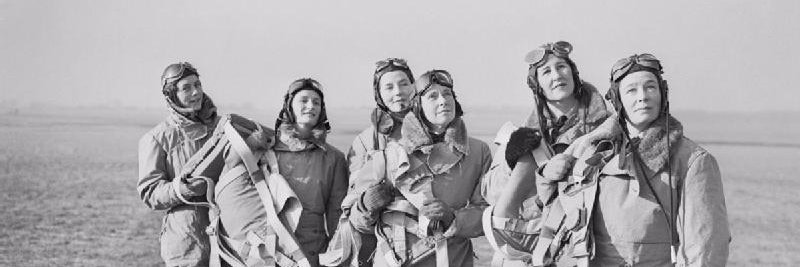 AnnaHammerin's profile banner image