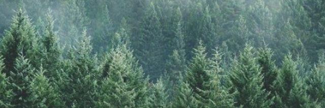 MarkiePearson's profile banner image