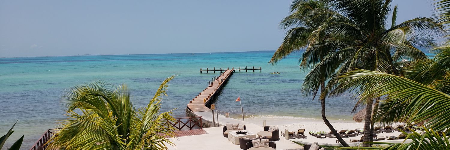 Perlita Guzmán banner