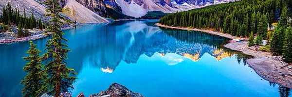 myxworld9 Profile Banner