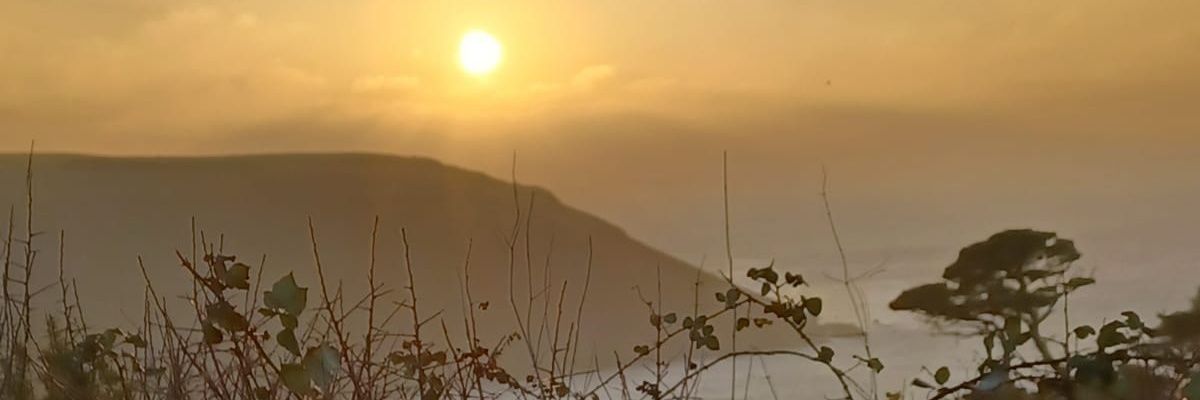 Frances Hannon (She/Her) 💜 banner