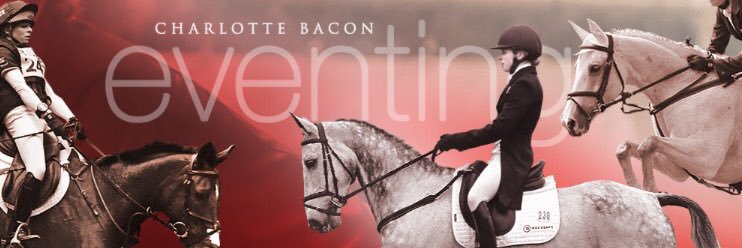 Charlotte Bacon banner
