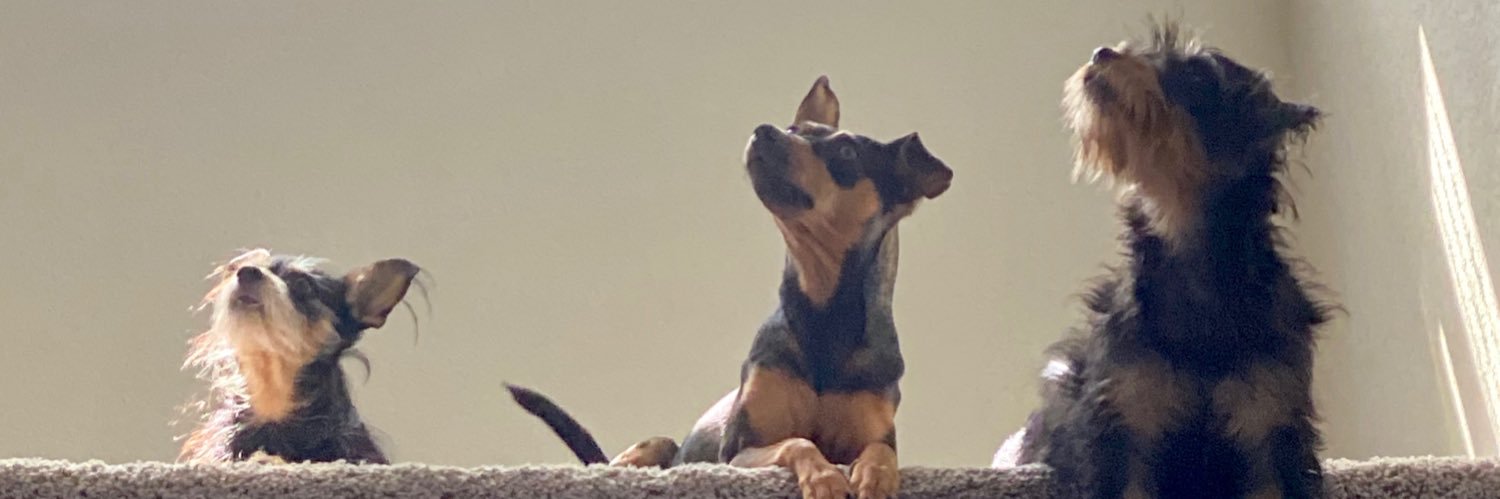 SummerH's profile banner image