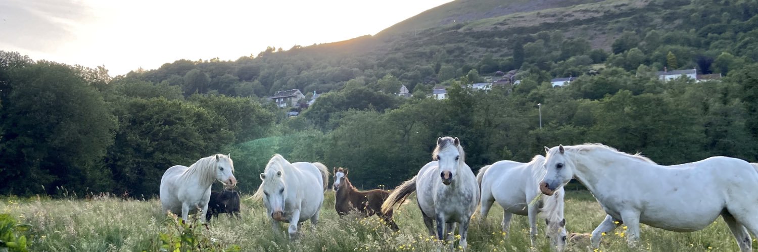 CWMTAWESTUD's profile banner image