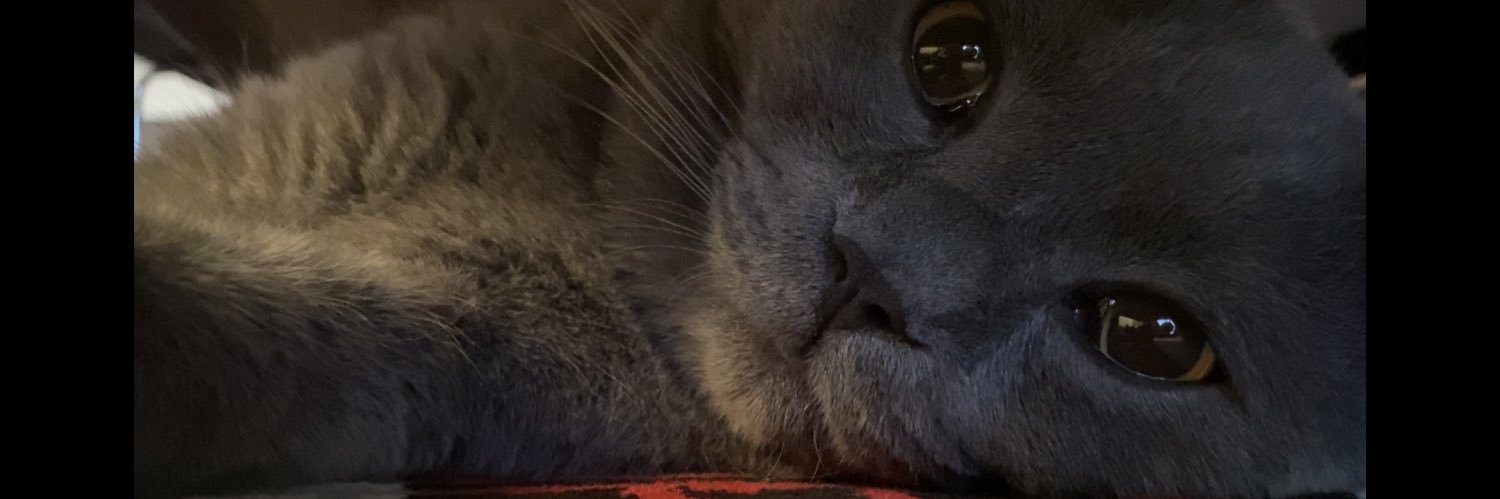 GokhanYurteken's profile banner image