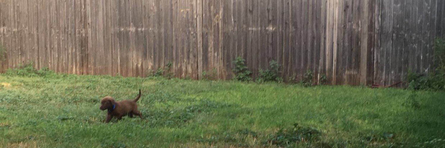 cdave_2's profile banner image