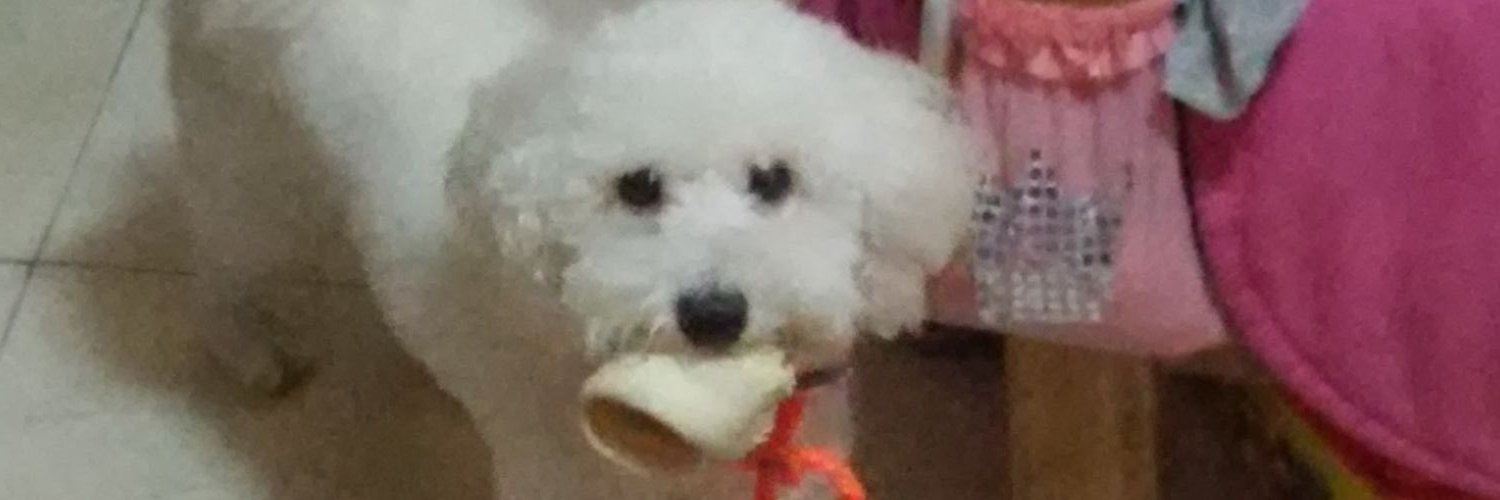 RocioUmpierrez's profile banner image