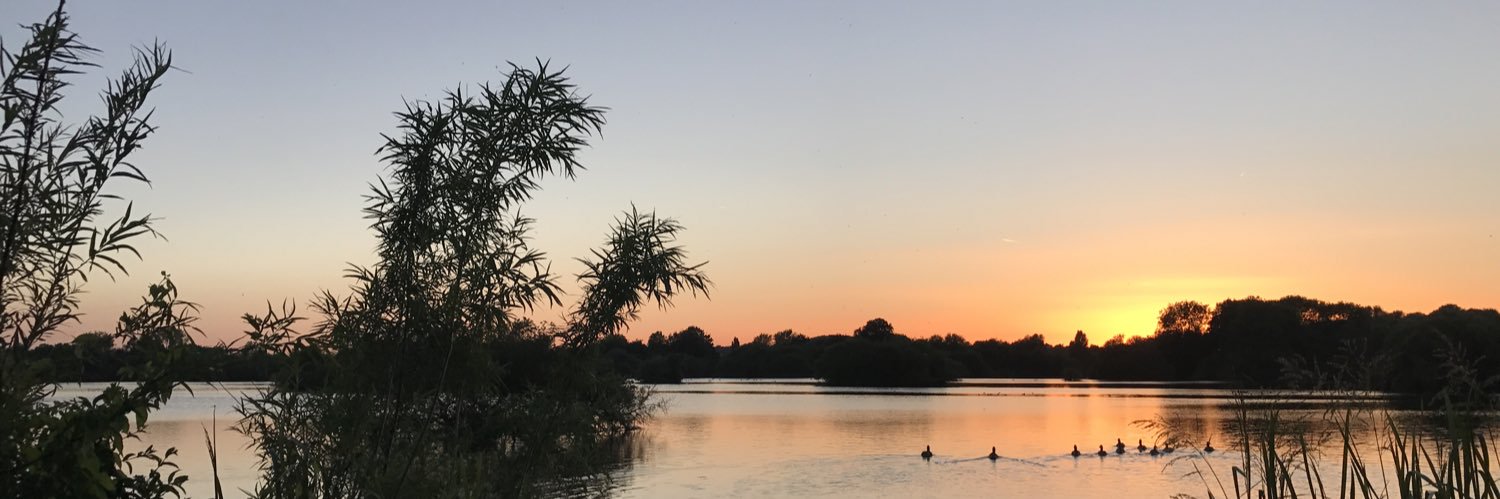 Chris LB Graham banner