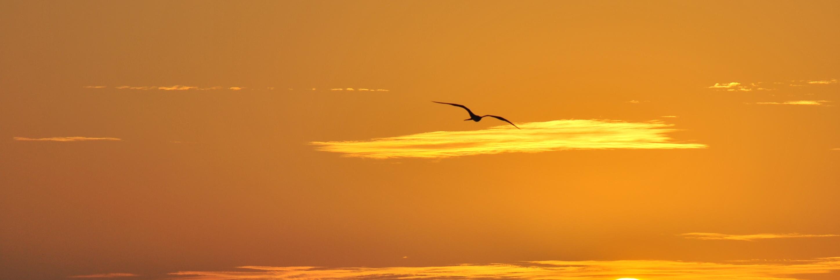 ana j. cabrera pacheco banner