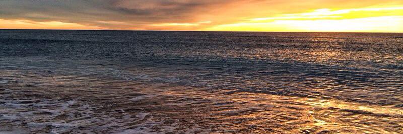 mar5kus's profile banner image