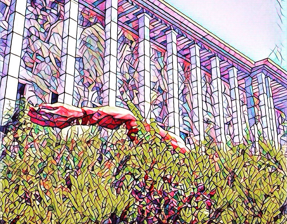 Pschitrose's profile banner image