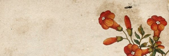 coulterk's profile banner image