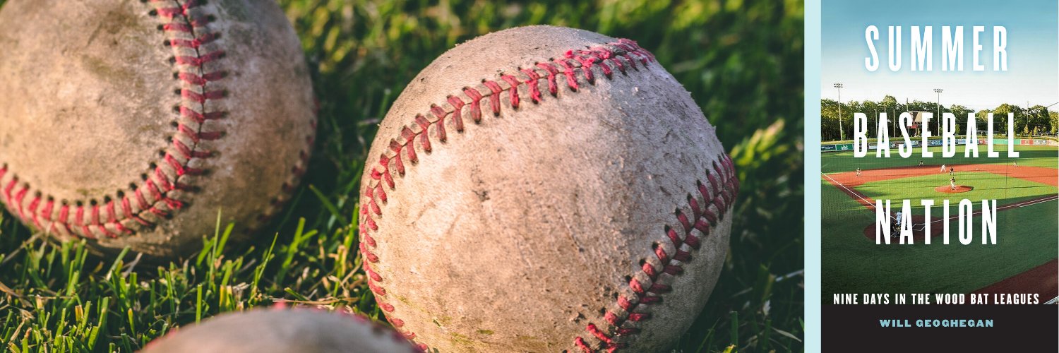 William Geoghegan banner