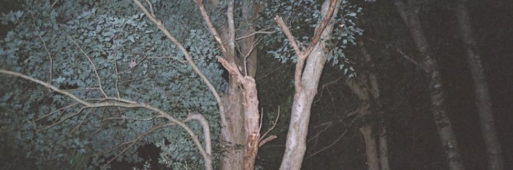 denn1slynch's profile banner image