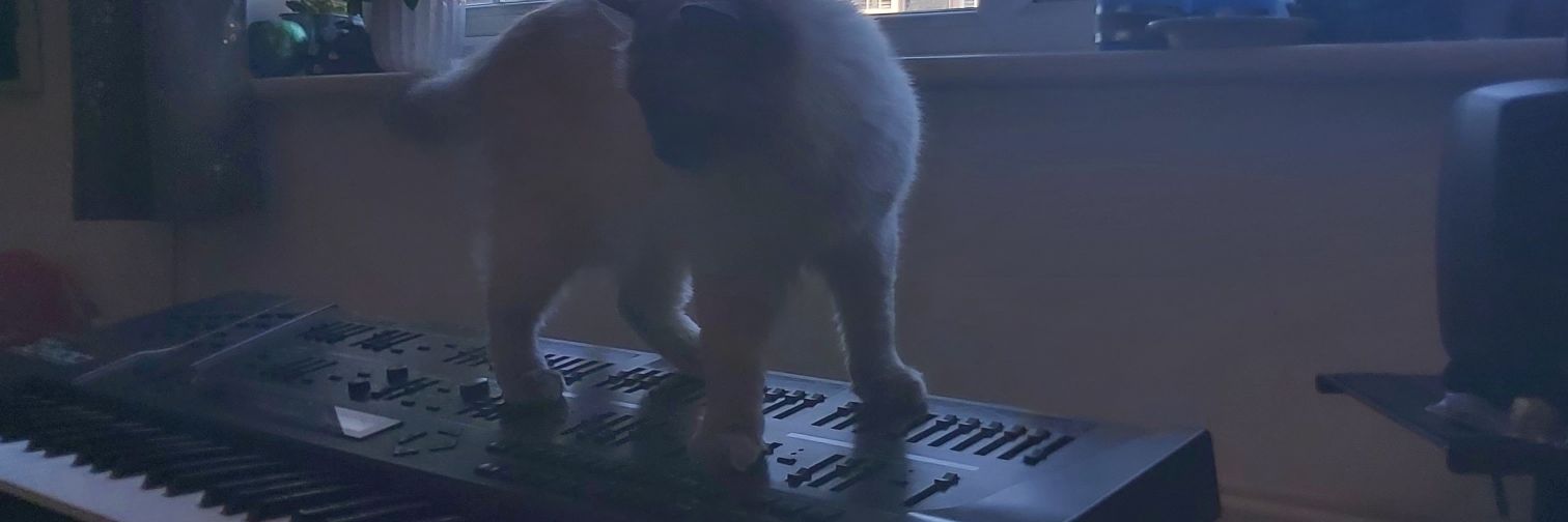 Lorenzo Valsassina banner